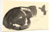 Sleeping cat, 1984 by Claudia Hutchins-Puechavy