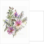 Floral, South African daisies and lavander, 2004 by Claudia Hutchins-Puechavy