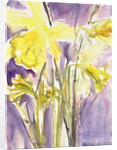 Daffodils, 2004 by Claudia Hutchins-Puechavy