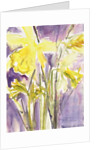 Daffodils, 2004 by Claudia Hutchins-Puechavy