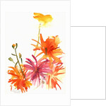 Marigolds and Other Flowers, 2004 by Claudia Hutchins-Puechavy