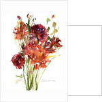 Renoncules, 2001 by Claudia Hutchins-Puechavy