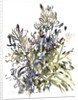 Senecio and other plants, 2003 by Claudia Hutchins-Puechavy