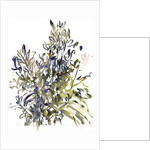 Senecio and other plants, 2003 by Claudia Hutchins-Puechavy