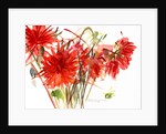 Dahlias, 2002 by Claudia Hutchins-Puechavy