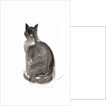 Cat, 1984 by Claudia Hutchins-Puechavy