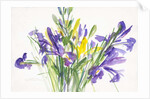 Irises, 1999 by Claudia Hutchins-Puechavy