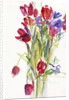 Tulips, 1999 by Claudia Hutchins-Puechavy