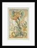 Bellerophon fighting the Chimaera, 1895 by Walter Crane