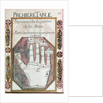 Parts of the left hand for those who are born during the night by French School