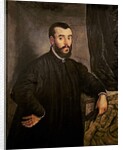 Portrait of Andreas Vesalius by Jacopo Robusti Tintoretto