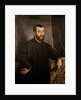 Portrait of Andreas Vesalius by Jacopo Robusti Tintoretto