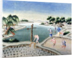 Rice Fields by School Chinese