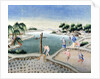 Rice Fields by School Chinese