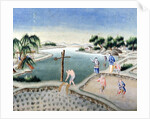 Rice Fields by School Chinese