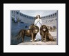 St. Blandina in the arena with lions by French School