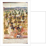 Elephant Hunt in Siam, from an account of the Jesuits in Siam, 1688 by French School