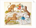 Gladiators fighting with animals by French School