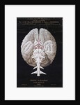 The Brain by French School