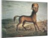 Hydrocephalic mare, born 21st January 1821, 1835 by French School