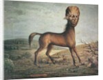 Hydrocephalic mare, born 21st January 1821, 1835 by French School