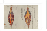 The lungs from the dissection of a torture victim of 1796 by Japanese School