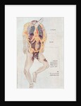 A disembowelled body from the dissection of a torture victim of 1796 by Japanese School