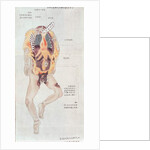 A disembowelled body from the dissection of a torture victim of 1796 by Japanese School