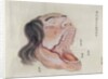 The anatomy of the mouth by Japanese School