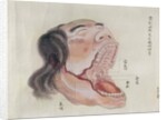The anatomy of the mouth by Japanese School