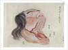 The anatomy of the mouth by Japanese School