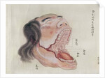 The anatomy of the mouth by Japanese School