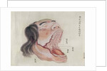 The anatomy of the mouth by Japanese School