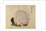 The anatomy of the brain from the dissection of a torture victim of 1796, from a makimono of a Midori doctor, 1842 by Japanese School