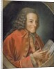 Portrait of Voltaire by Jean Huber