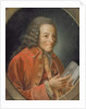 Portrait of Voltaire by Jean Huber