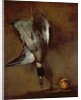 A mallard duck hanging on a wall with a Seville orange, 1720-30 by Jean-Baptiste Simeon Chardin