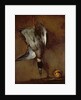 A mallard duck hanging on a wall with a Seville orange, 1720-30 by Jean-Baptiste Simeon Chardin