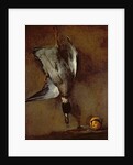 A mallard duck hanging on a wall with a Seville orange, 1720-30 by Jean-Baptiste Simeon Chardin