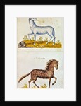 Drawings of a unicorn and a wild horse by French School