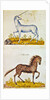 Drawings of a unicorn and a wild horse by French School