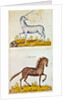 Drawings of a unicorn and a wild horse by French School