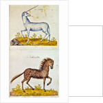 Drawings of a unicorn and a wild horse by French School