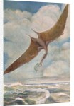 Pterodactyl fishing by French School