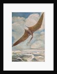 Pterodactyl fishing by French School