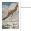 Pterodactyl fishing by French School
