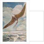Pterodactyl fishing by French School