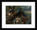 Landscape with Peacock and Game by Italian School