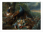 Landscape with Peacock and Game by Italian School