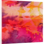 Vacos Fish, 2000 by Charlotte Johnstone